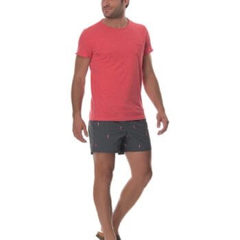 1383 Μαγιό shorts με κέντημα ιππόκαμπο